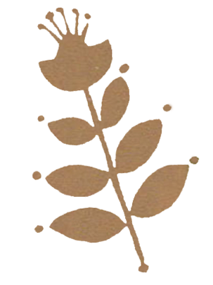 Potters Tissue Terra 10