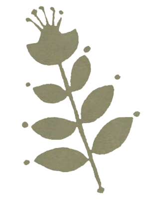 Potters Tissue Terra 12