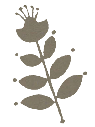 Potters Tissue Terra 08